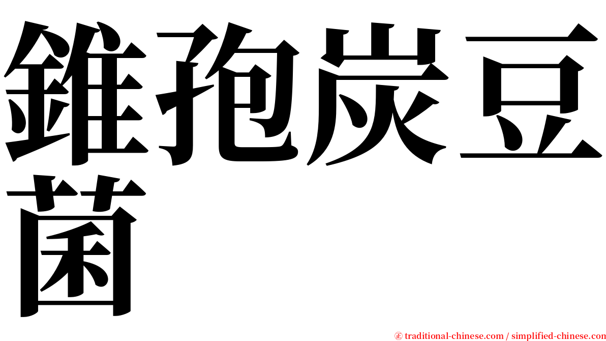 錐孢炭豆菌 serif font