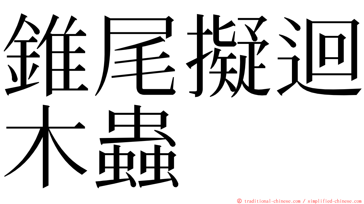 錐尾擬迴木蟲 ming font