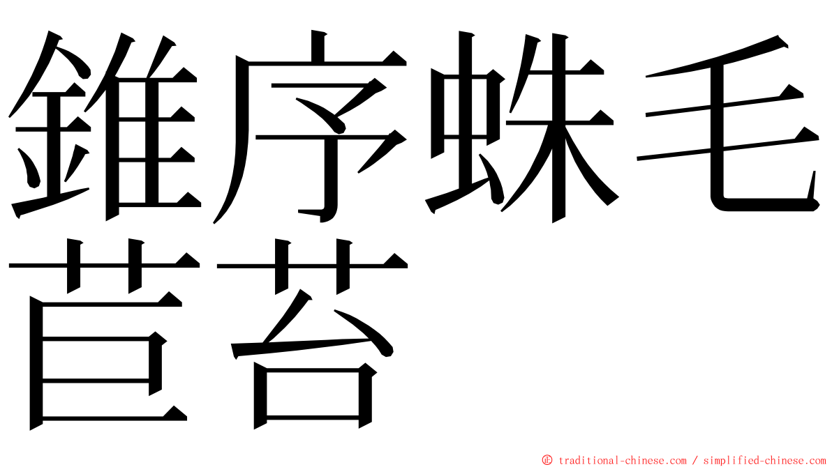 錐序蛛毛苣苔 ming font