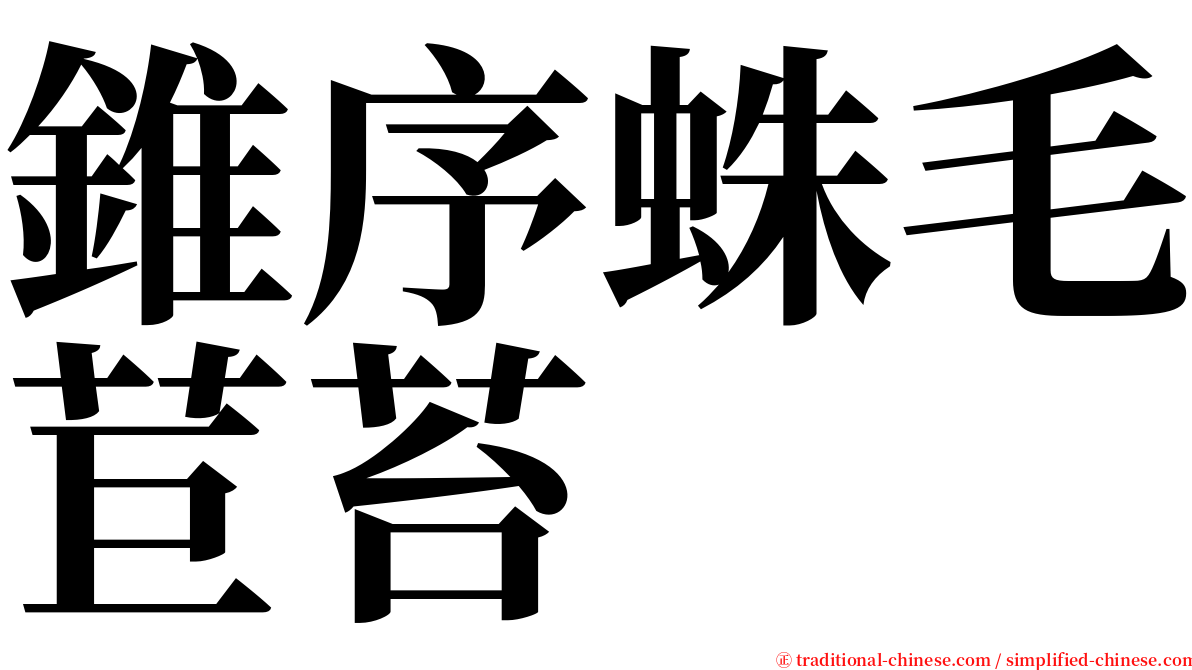 錐序蛛毛苣苔 serif font