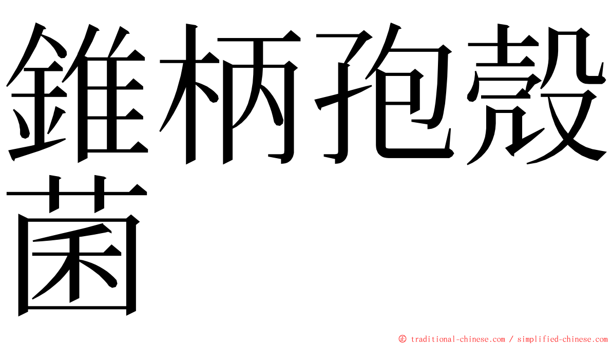 錐柄孢殼菌 ming font