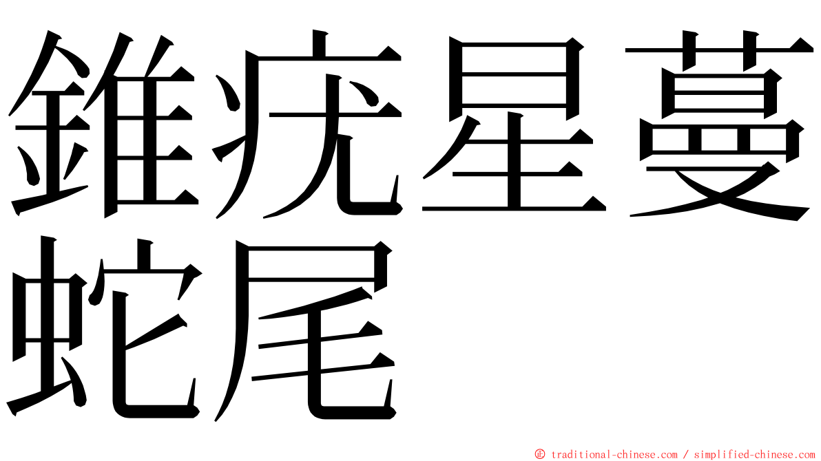 錐疣星蔓蛇尾 ming font