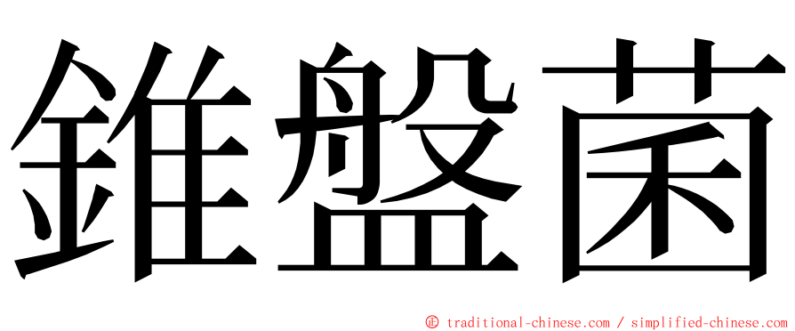 錐盤菌 ming font