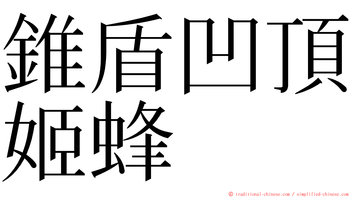 錐盾凹頂姬蜂 ming font