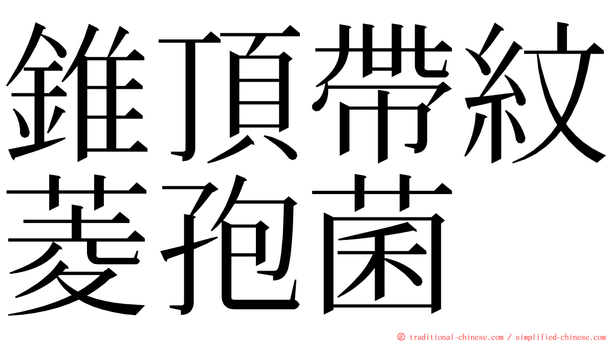 錐頂帶紋菱孢菌 ming font