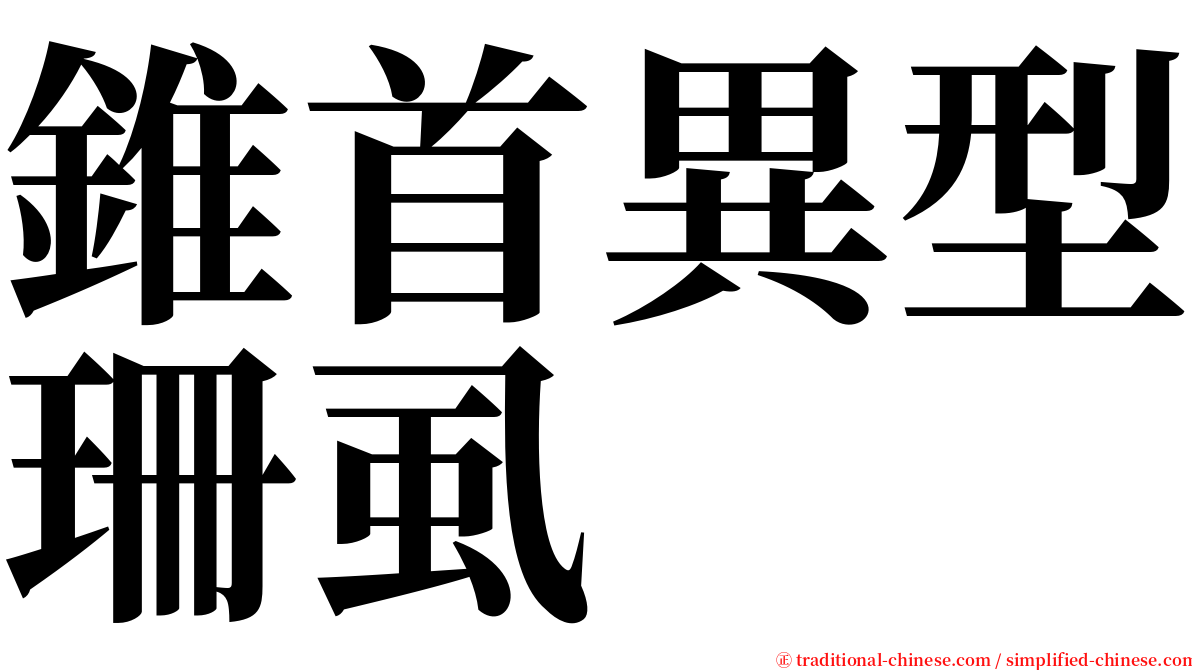 錐首異型珊虱 serif font