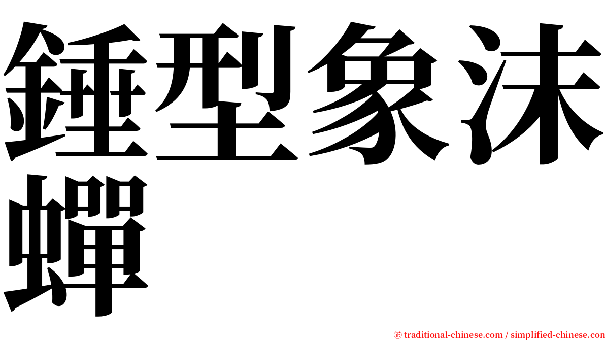 錘型象沫蟬 serif font