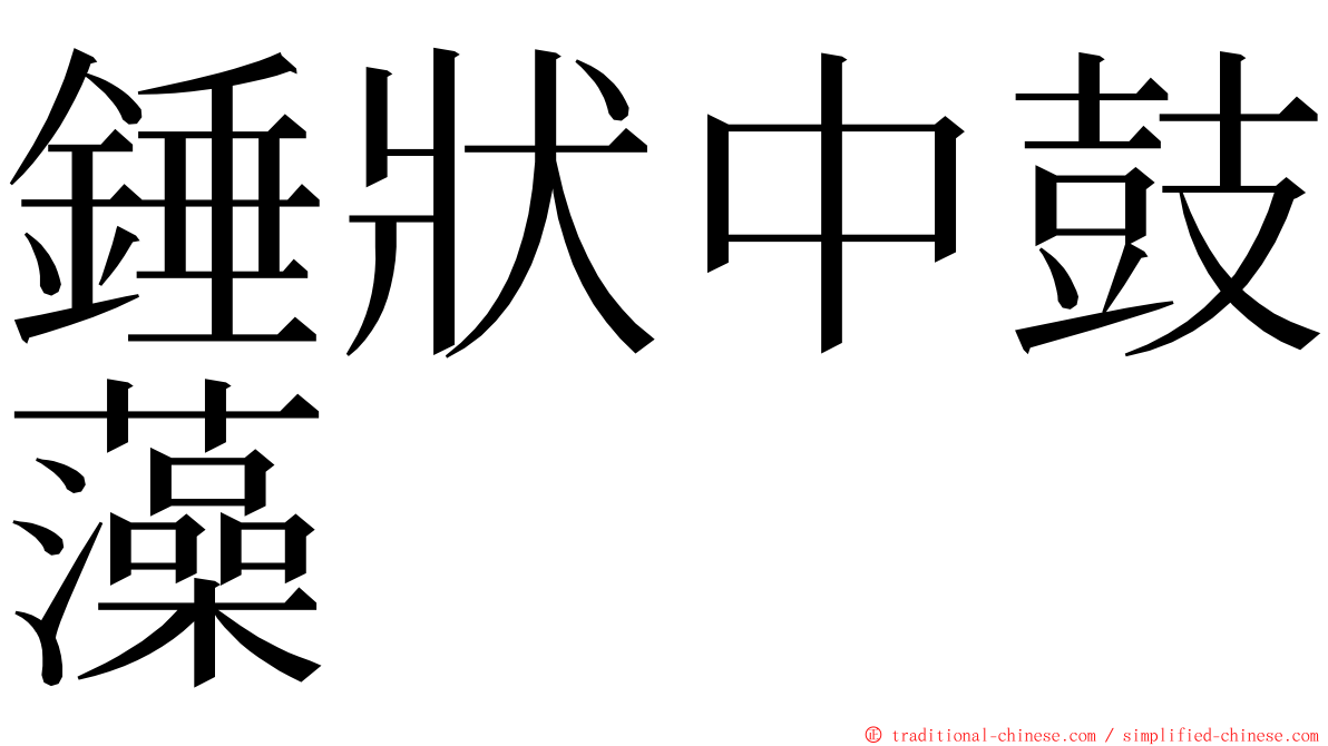 錘狀中鼓藻 ming font