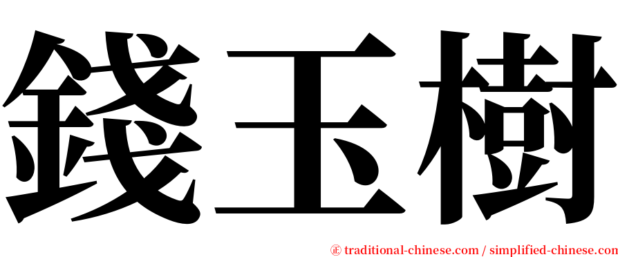 錢玉樹 serif font