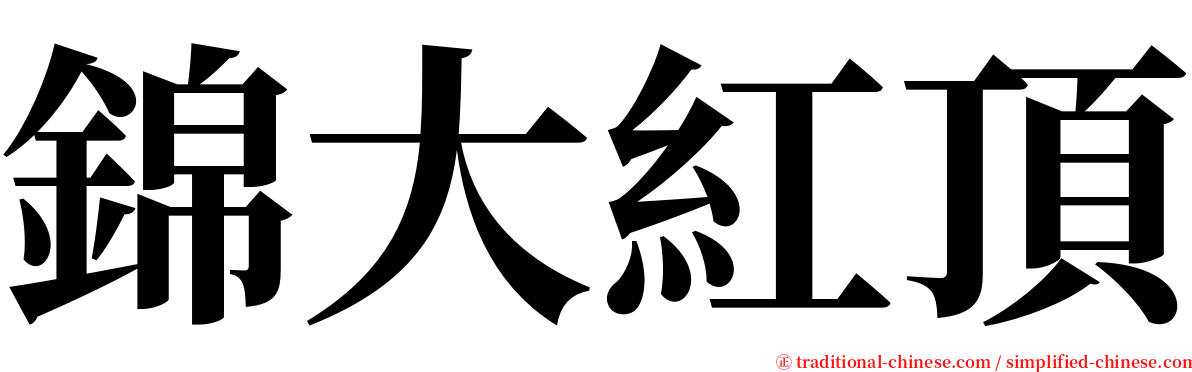 錦大紅頂 serif font