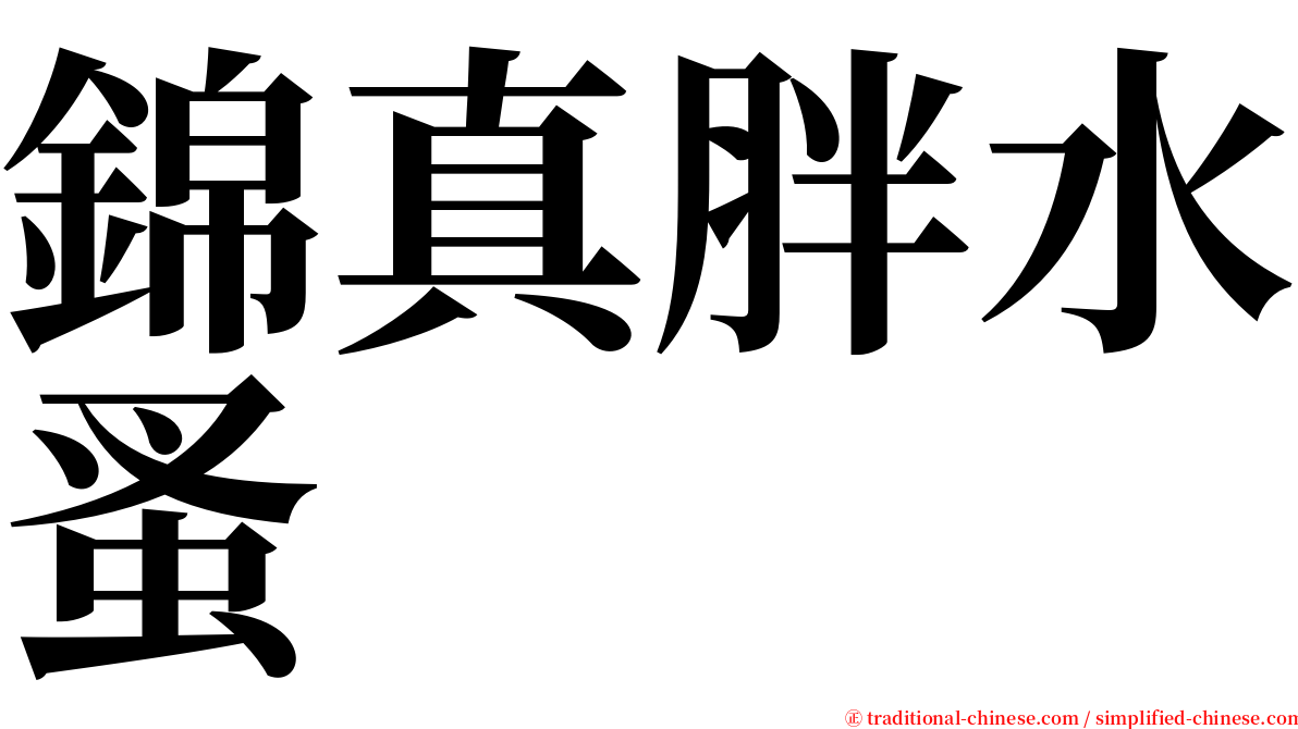 錦真胖水蚤 serif font