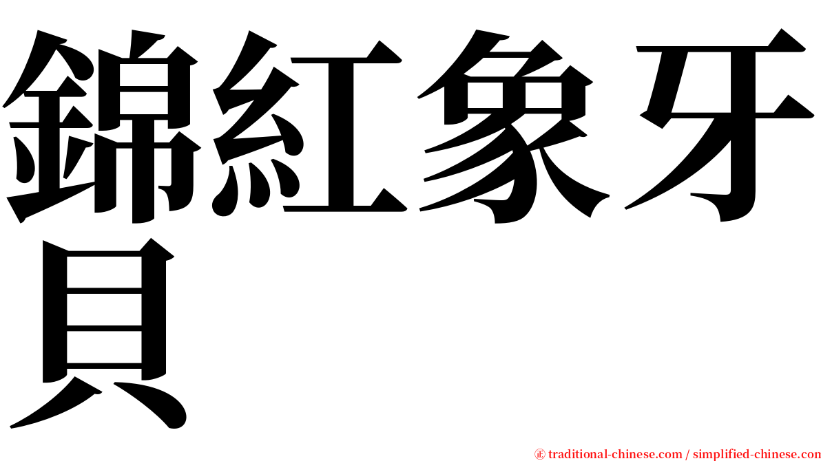 錦紅象牙貝 serif font