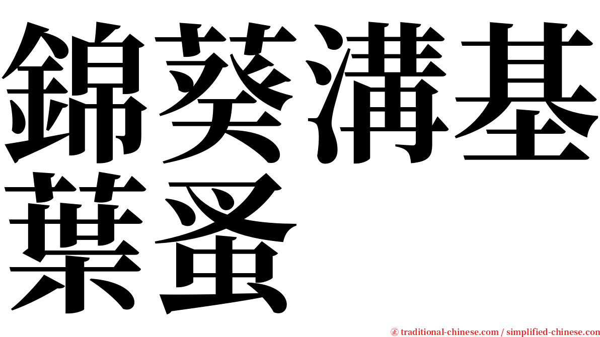 錦葵溝基葉蚤 serif font