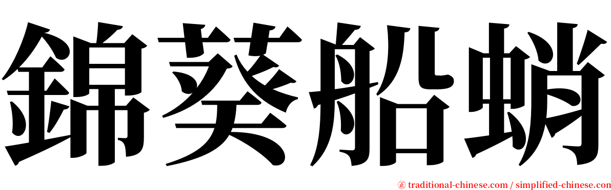 錦葵船蛸 serif font