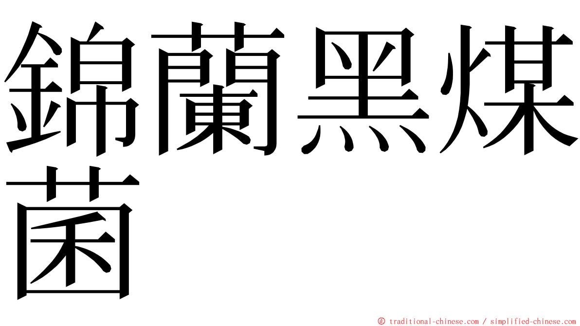 錦蘭黑煤菌 ming font