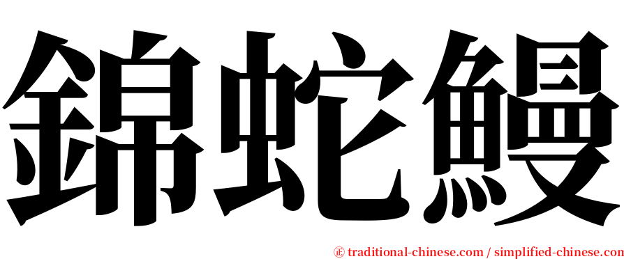 錦蛇鰻 serif font