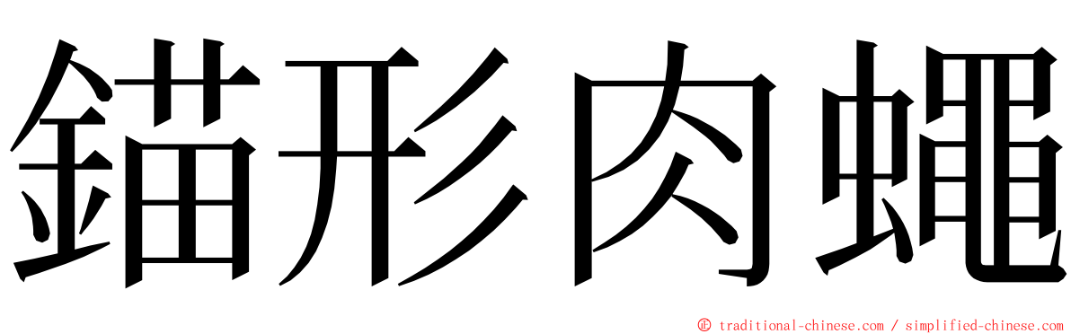 錨形肉蠅 ming font