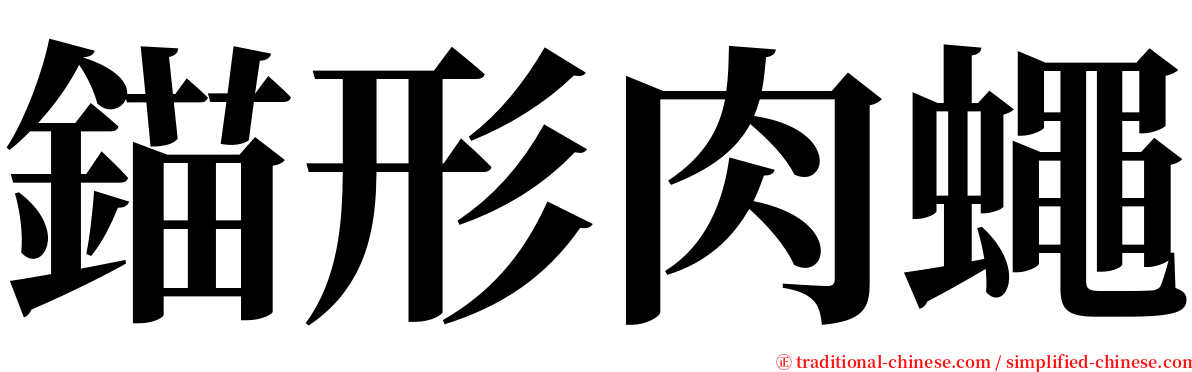 錨形肉蠅 serif font