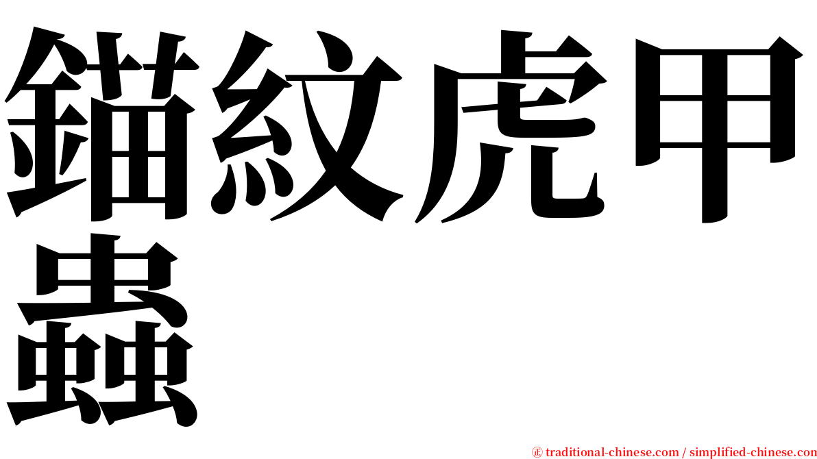 錨紋虎甲蟲 serif font