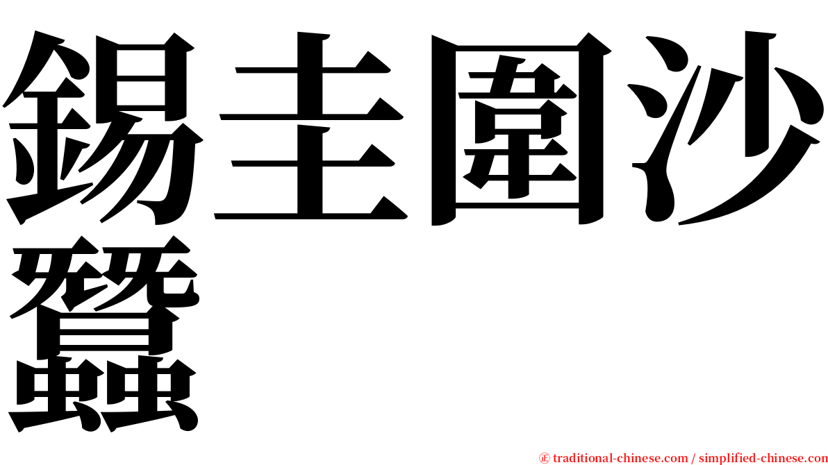 錫圭圍沙蠶 serif font