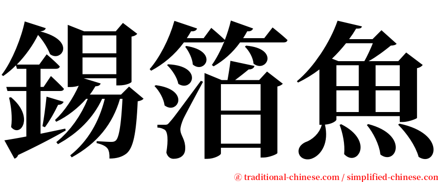 錫箔魚 serif font