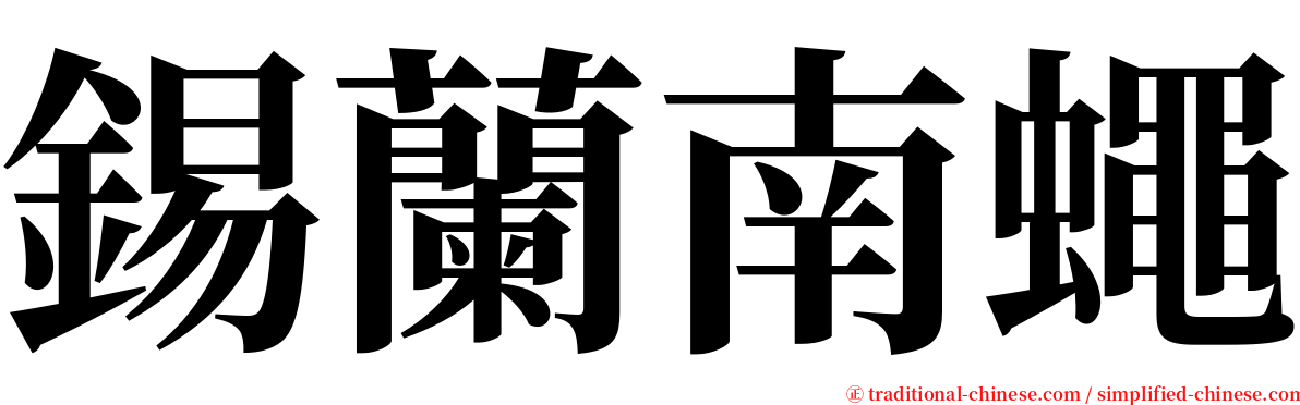 錫蘭南蠅 serif font