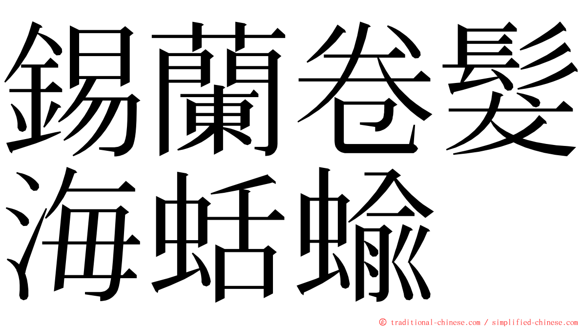 錫蘭卷髮海蛞蝓 ming font