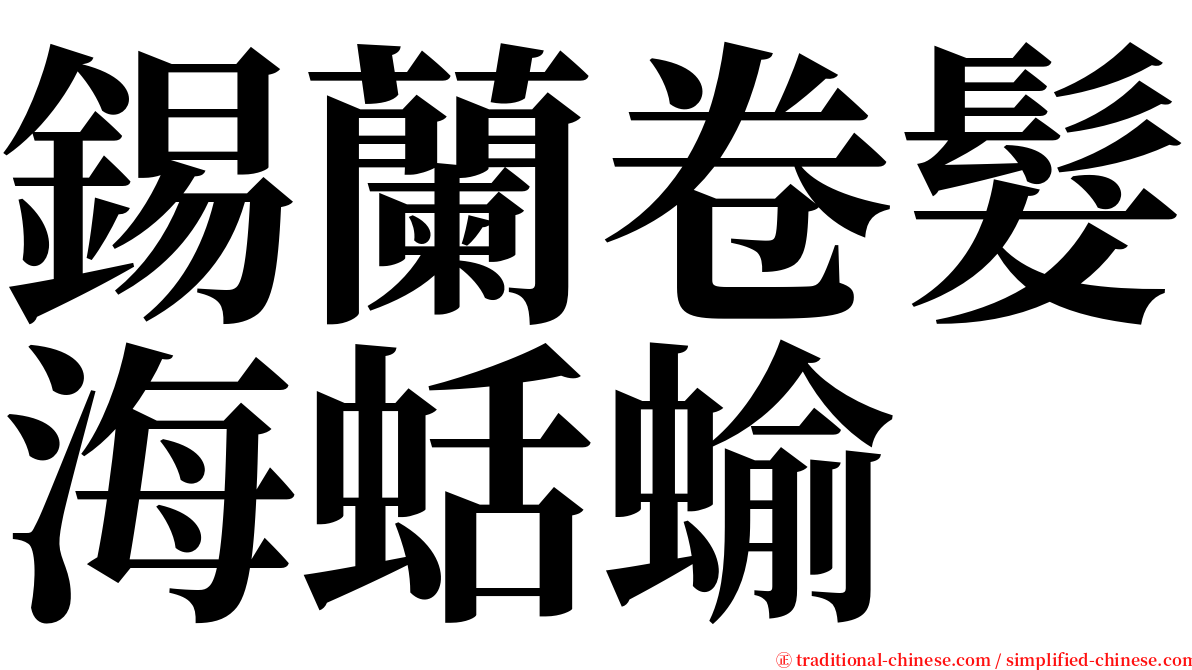 錫蘭卷髮海蛞蝓 serif font