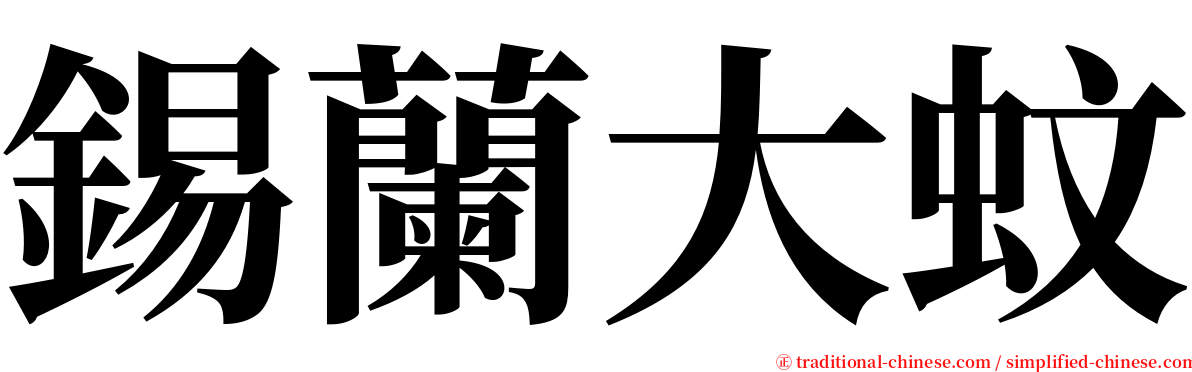 錫蘭大蚊 serif font