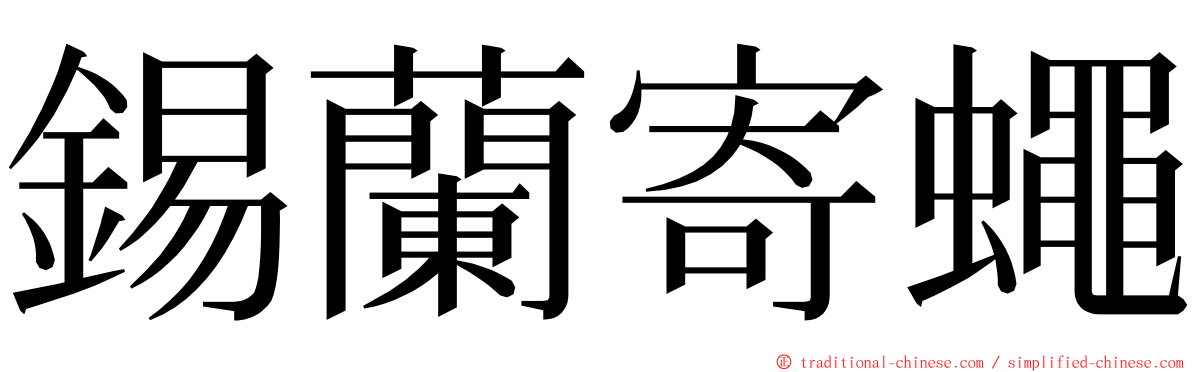 錫蘭寄蠅 ming font