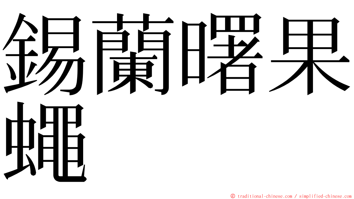 錫蘭曙果蠅 ming font