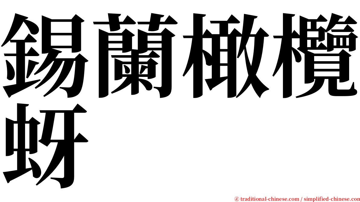 錫蘭橄欖蚜 serif font