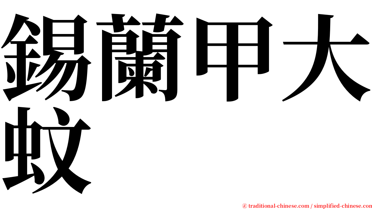 錫蘭甲大蚊 serif font