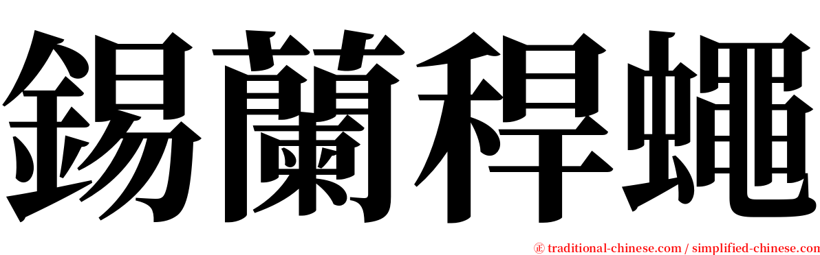 錫蘭稈蠅 serif font