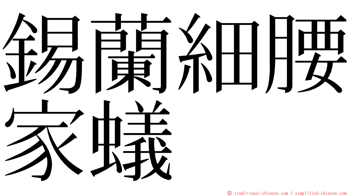 錫蘭細腰家蟻 ming font