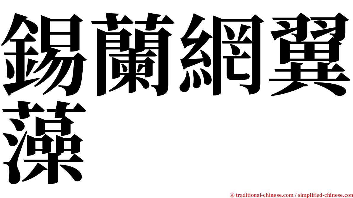 錫蘭網翼藻 serif font