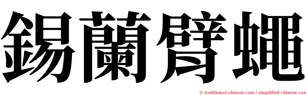 錫蘭臂蠅 serif font