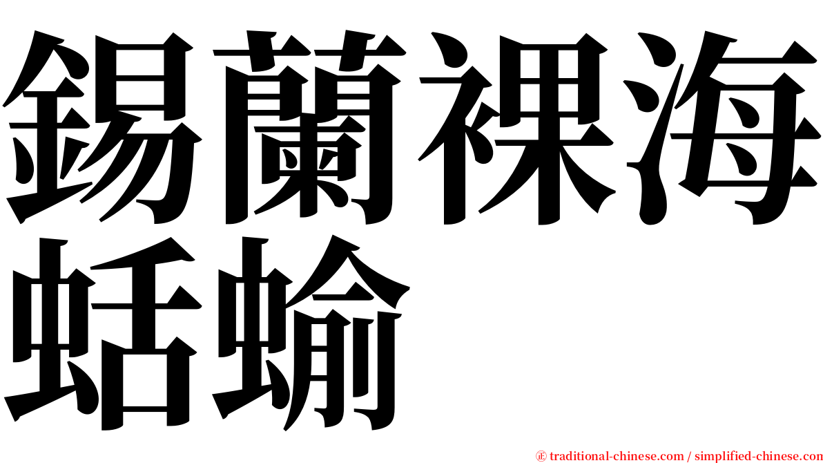 錫蘭裸海蛞蝓 serif font