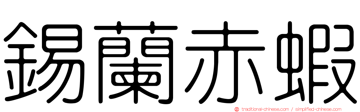 錫蘭赤蝦