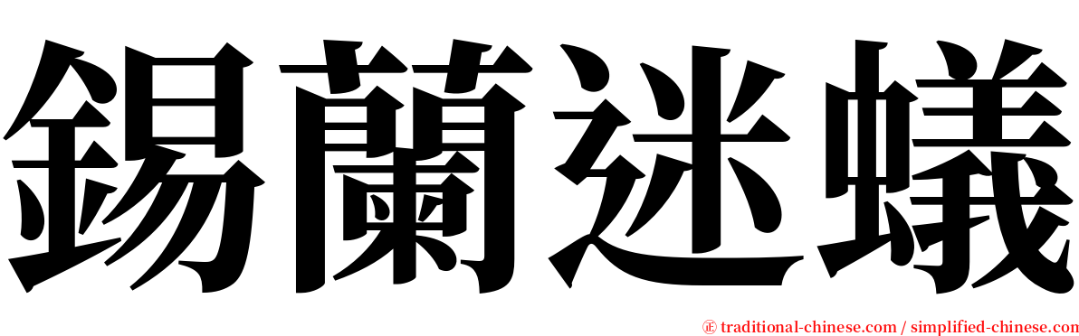 錫蘭迷蟻 serif font