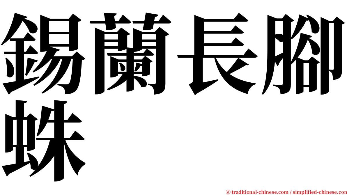 錫蘭長腳蛛 serif font