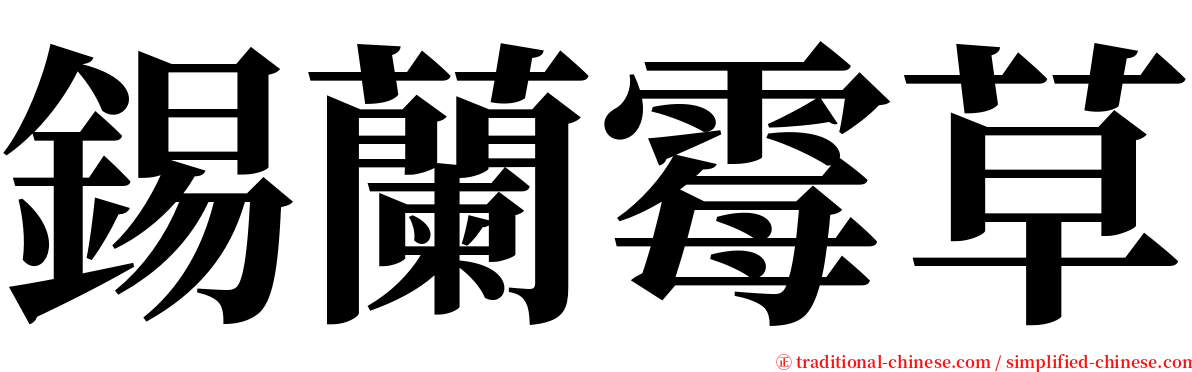 錫蘭霉草 serif font