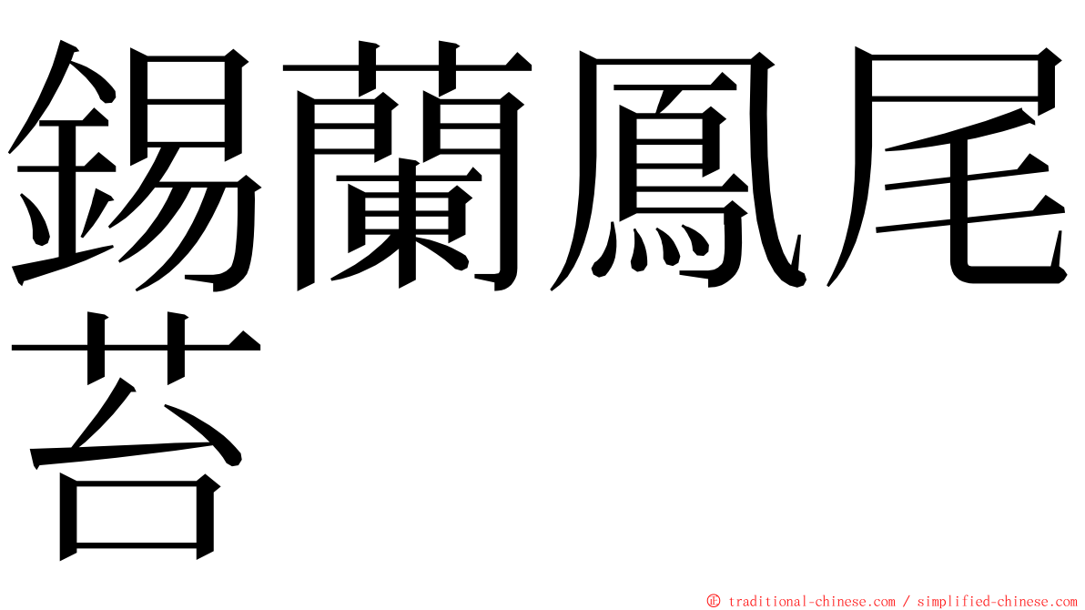 錫蘭鳳尾苔 ming font