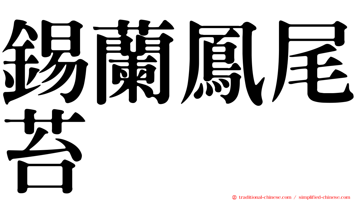 錫蘭鳳尾苔