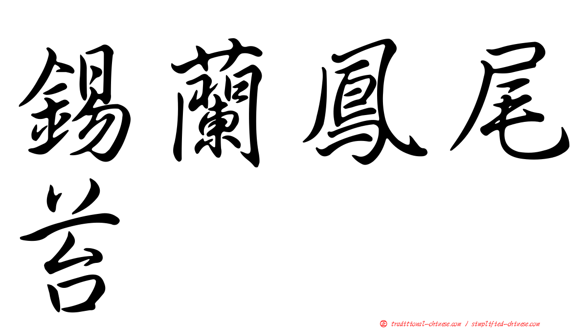 錫蘭鳳尾苔