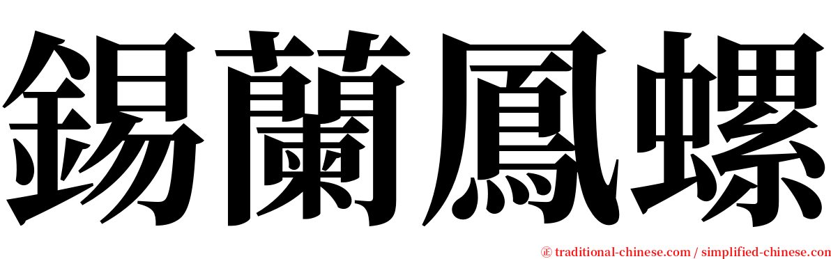 錫蘭鳳螺 serif font