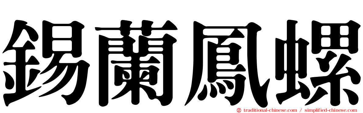 錫蘭鳳螺