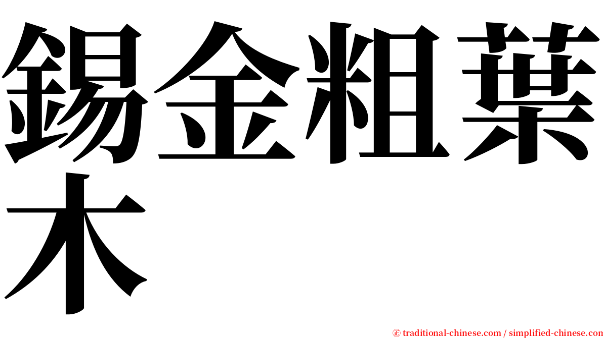 錫金粗葉木 serif font