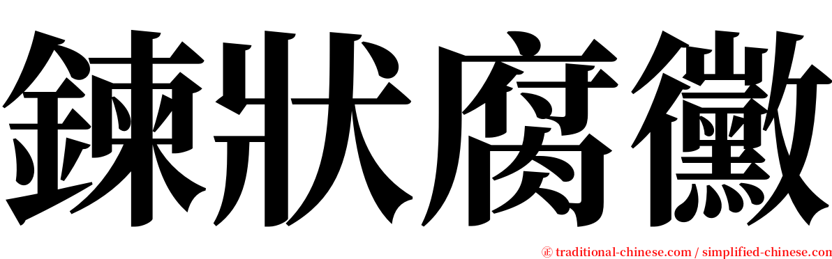 鍊狀腐黴 serif font