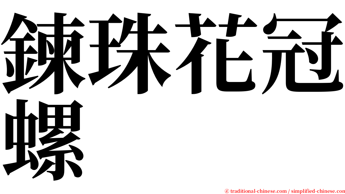 鍊珠花冠螺 serif font